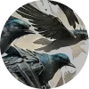 Nuée d'oiseaux